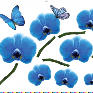 Декоративна наліпка Label №11 Синяя орхидея